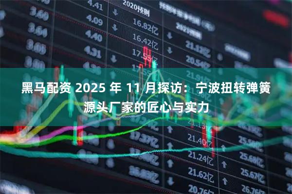 黑马配资 2025 年 11 月探访：宁波扭转弹簧源头厂家的匠心与实力