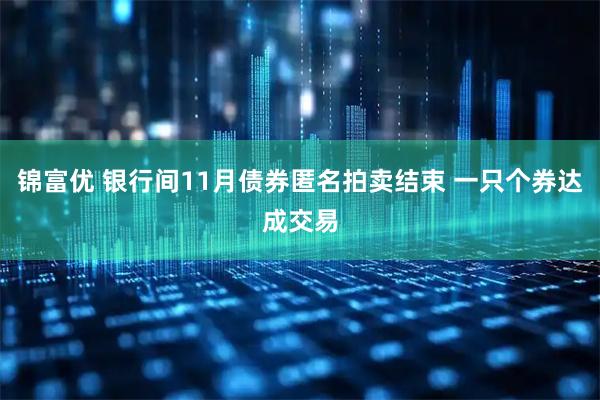 锦富优 银行间11月债券匿名拍卖结束 一只个券达成交易