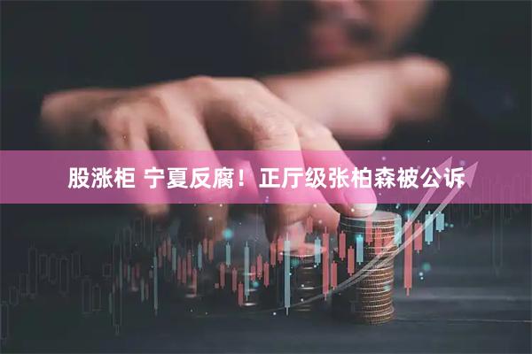 股涨柜 宁夏反腐！正厅级张柏森被公诉