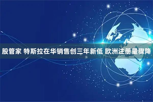 股管家 特斯拉在华销售创三年新低 欧洲注册量骤降