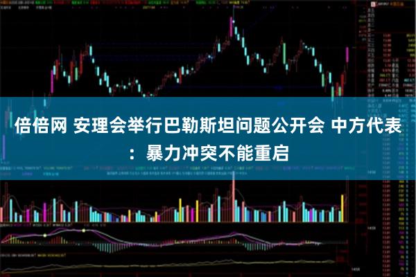 倍倍网 安理会举行巴勒斯坦问题公开会 中方代表：暴力冲突不能重启